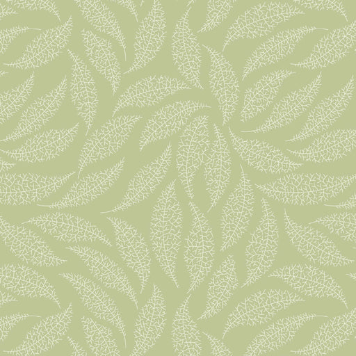 Pressed In Time Organic Cotton Fabric, Sage Leaves from Jaycotts Sewing Supplies