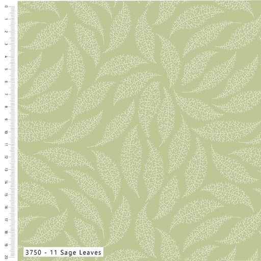 Pressed In Time Organic Cotton Fabric, Sage Leaves from Jaycotts Sewing Supplies