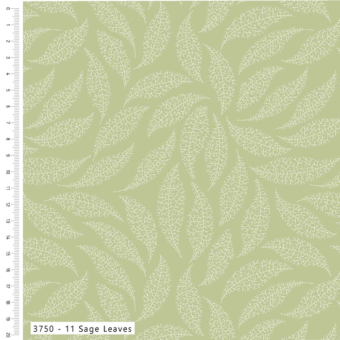 Pressed In Time Organic Cotton Fabric, Sage Leaves from Jaycotts Sewing Supplies