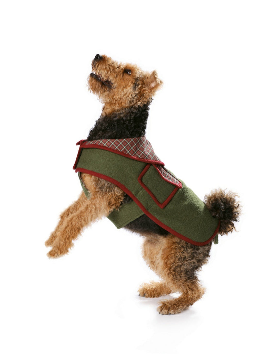 BD7752 Dogs Coat Pattern from Jaycotts Sewing Supplies