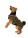 BD7752 Dogs Coat Pattern from Jaycotts Sewing Supplies