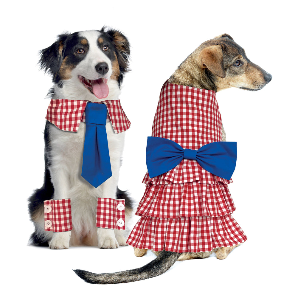 Dog 2024 collar supplies