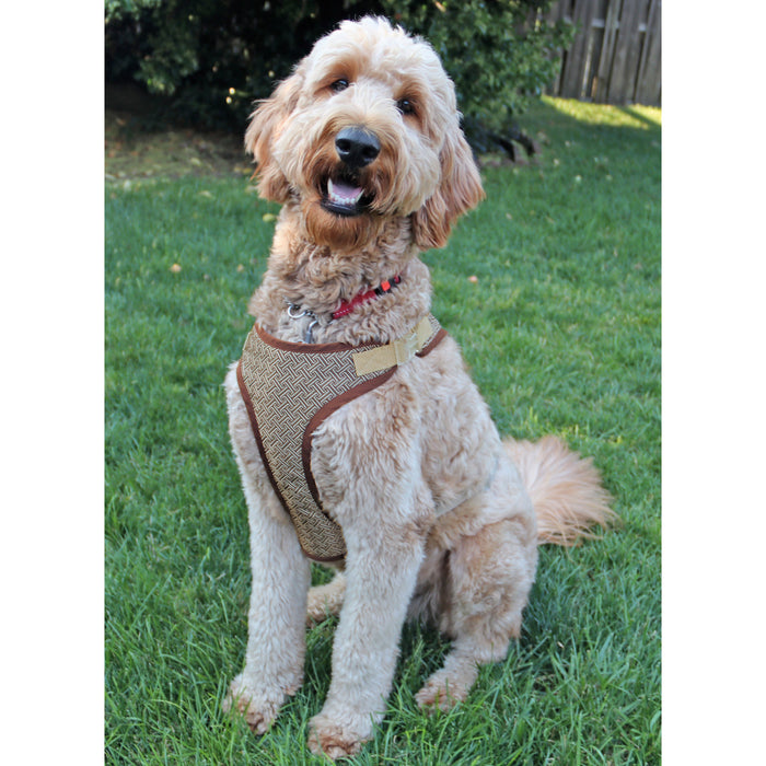 Simplicity S9664 Dog Harness in Sizes S-M-L and Lead sewing