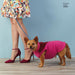Simplicity Pattern 8861 dog coats sewing pattern from Jaycotts Sewing Supplies